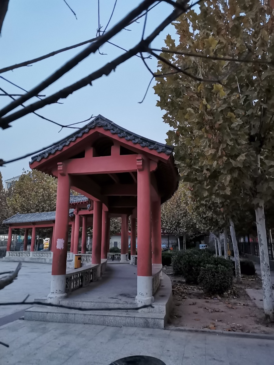 我爱我家楼下的公园