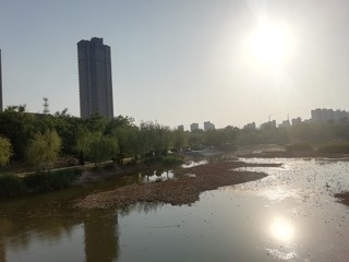 994382