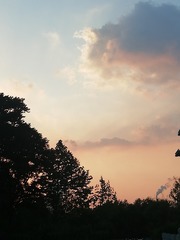 994792