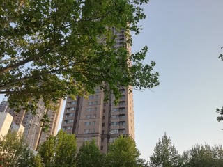 994446