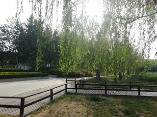 994603