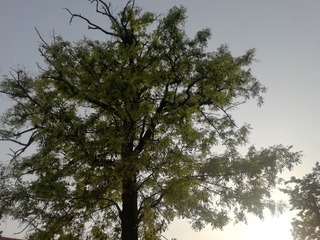 984339