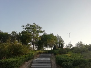 994441