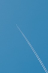 1000084158