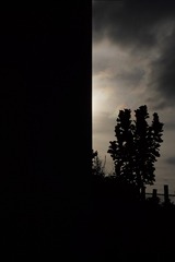 3588957