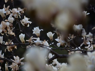 DC788EC0-4555-4C57-BC95-FB727811C4D4/L0/001