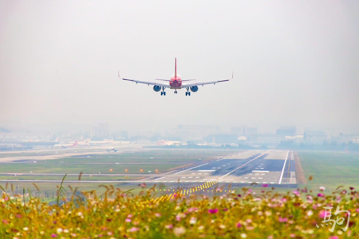 成都双流机场02跑道空港花田小山坡