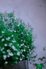 C9935026-1A82-4899-9AFB-BF234F095AB3/L0/001