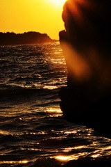 6F3FA656-66D7-4DD6-8AB2-0833D1E44E31/L0/001
