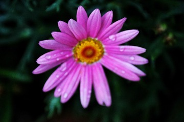 04E7F2C2-CC1D-41A6-83EF-BE9641137D38/L0/001