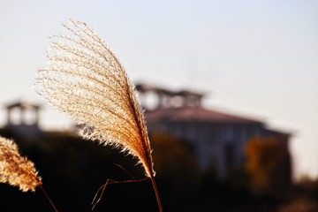 EA61E953-8228-4F8E-8B03-989F86E97F62/L0/001