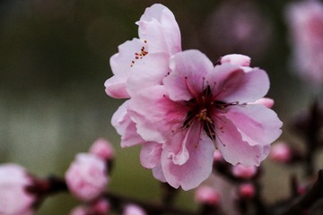 A8F33848-715B-420C-A4EE-C7BC5D876DD4/L0/001
