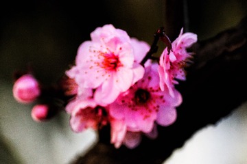 1E3A12E4-A140-4E8A-9BDD-D88915064B8C/L0/001