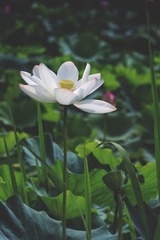 21B546DF-5BE2-4A79-BD84-DD7415A63CA5/L0/001