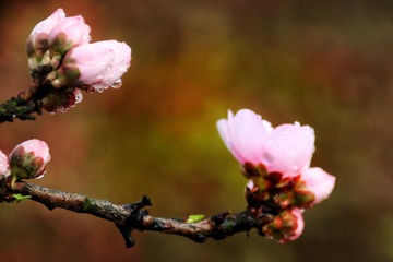 A084FF14-833B-4196-ADD7-3A110112AA68/L0/001
