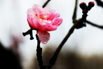 79592F98-54FC-4D5B-BF01-6090B0716760/L0/001