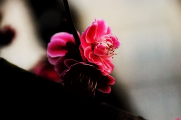 4BC26C56-B2C4-4E6D-8563-F7251455AC50/L0/001