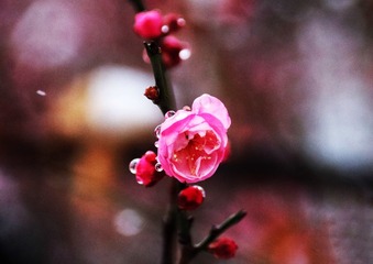 762437FB-49FD-44E0-903A-D781A11D299F/L0/001