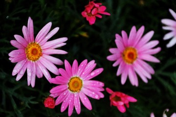 2FB3AFA9-9072-40C4-AA6D-E228F4B875CD/L0/001