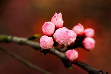 E4E72C26-3A0B-40B8-A12E-5573F9978417/L0/001