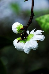 F14E24EA-C964-4005-B58B-E9D10E12DA8D/L0/001
