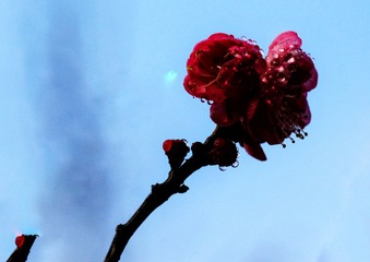 F5A6EF5B-20C2-4F52-9357-B3494F53829D/L0/001