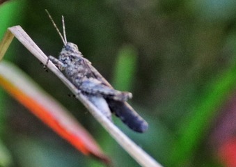 CA2EBD25-33DA-475D-9046-5D78AAF5175A/L0/001