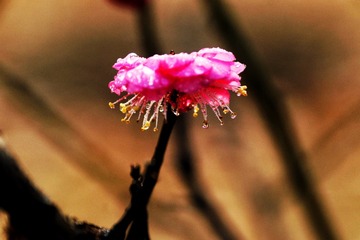 A3374249-C0DA-4D28-8DEA-76467F26CA8B/L0/001