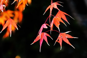 EEDB78F8-1305-45A7-946A-511C41925B67/L0/001