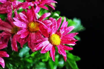 D462EB0F-2A7A-4171-8212-61F6AC794C59/L0/001