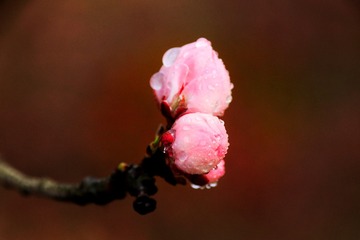 0B78B2D3-9278-4BDA-895B-52DB76FEEF15/L0/001