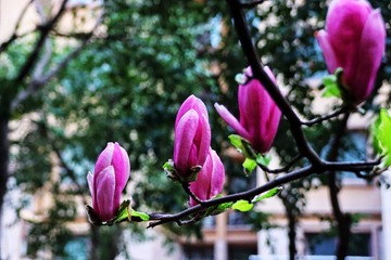 F5F4D3FE-EB48-4B13-B898-00F80098C2DB/L0/001