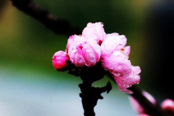 A1EBB8A5-9E0A-41ED-8271-D5CF78C06C14/L0/001