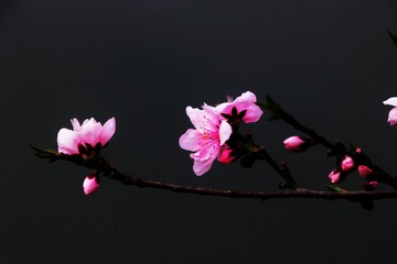 F5AAFDA4-AA7D-4662-A4FD-A1C9856ACA66/L0/001
