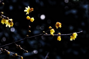 5AA4FAC8-A7A5-4696-8AA6-2FCF62B818FA/L0/001