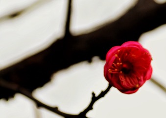 C811B3C4-E6E0-4B5A-84C6-8F8308D3F895/L0/001
