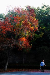 42F18128-F7D8-4579-B9BD-F6139ADEB3A0/L0/001