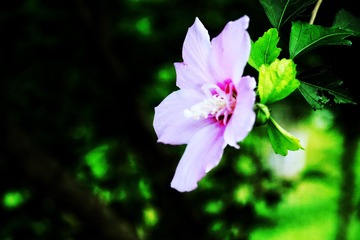 8C1C5C54-6358-44F9-AF40-9FEB7B77611F/L0/001