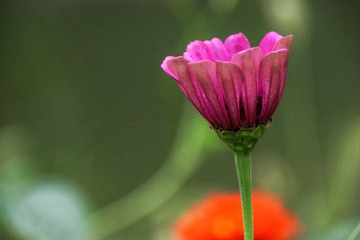 5181DD0D-DF7C-464E-A35B-1AF062C2C3E9/L0/001