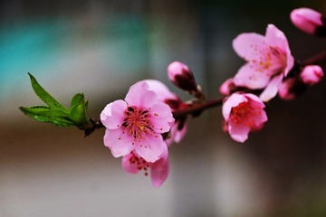 239C23C6-0CF8-4785-AA5F-5C487B635DA1/L0/001