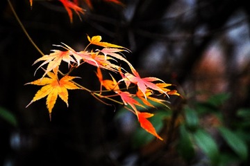 9DEB75CE-A7B9-4E9C-BC12-82857F71D5AC/L0/001