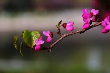 87260FD6-E682-433F-B5FE-66FA7A3EC662/L0/001