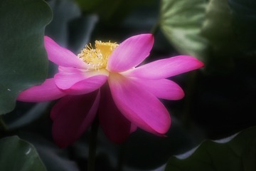 8D7FE003-861D-4940-8717-D6AEAD2C61FC/L0/001