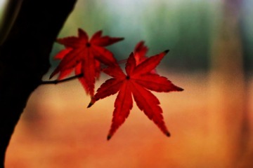 0570EBBF-D784-42F4-AE13-50288026EF82/L0/001