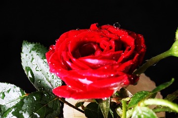 B50775A0-53EE-4BD7-86EB-657405231377/L0/001