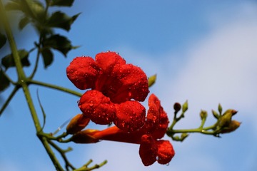 A5935376-5F25-406D-8EA0-A098F4BC6475/L0/001