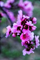 C27049D2-61BB-44D4-90B2-D01F1AE24F0F/L0/001