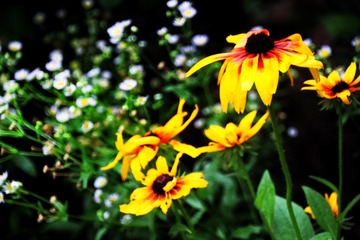E6654422-F410-4692-837D-152B8A83F94F/L0/001