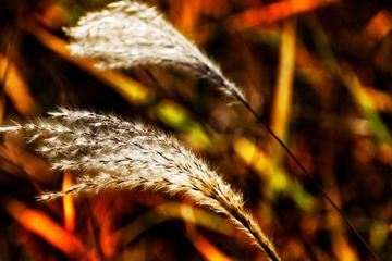 D027C165-28A9-470B-B050-CB0AB2B25792/L0/001