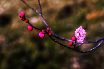 619414CF-A8F3-4B05-8F82-E3F324147B93/L0/001